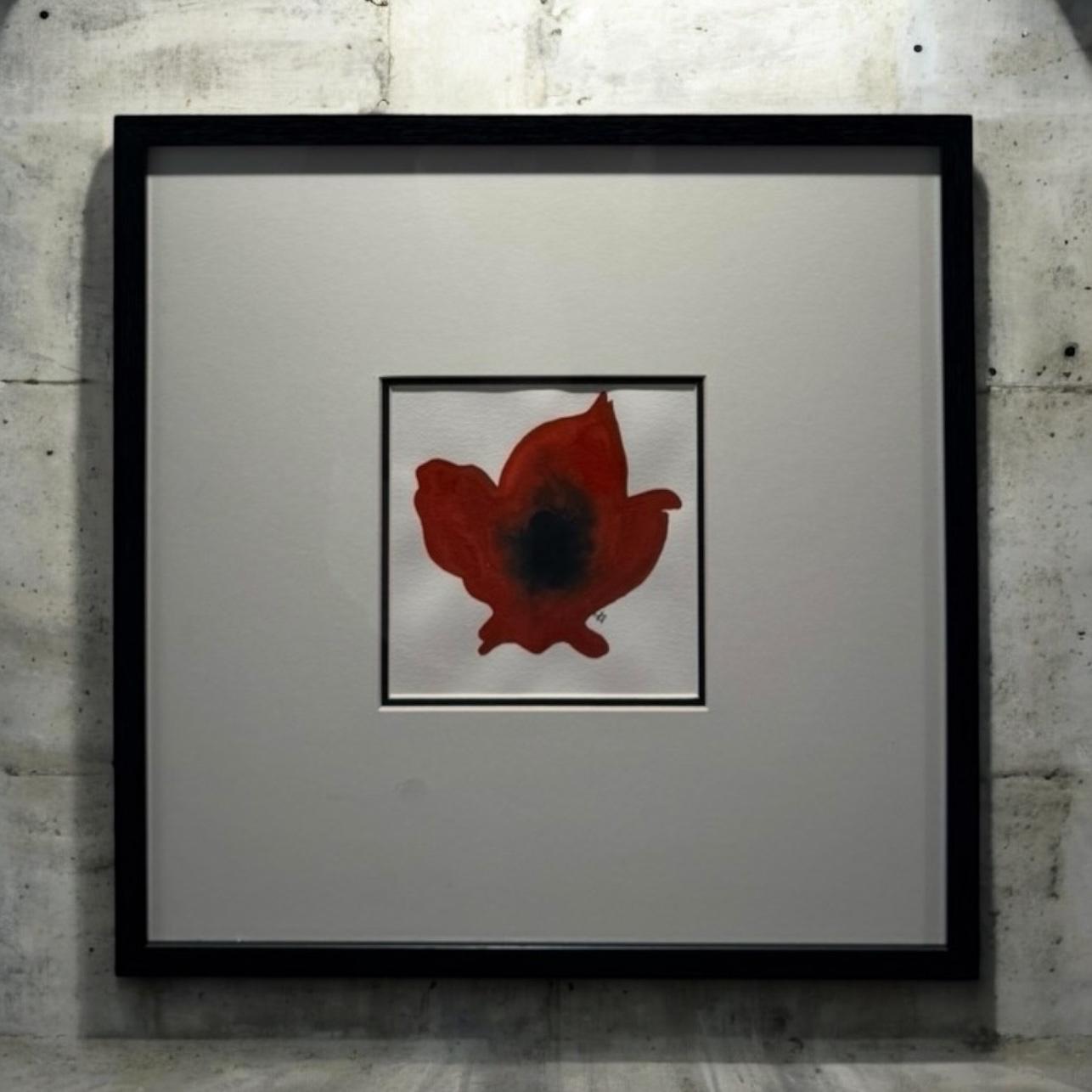 Poppy Flower 