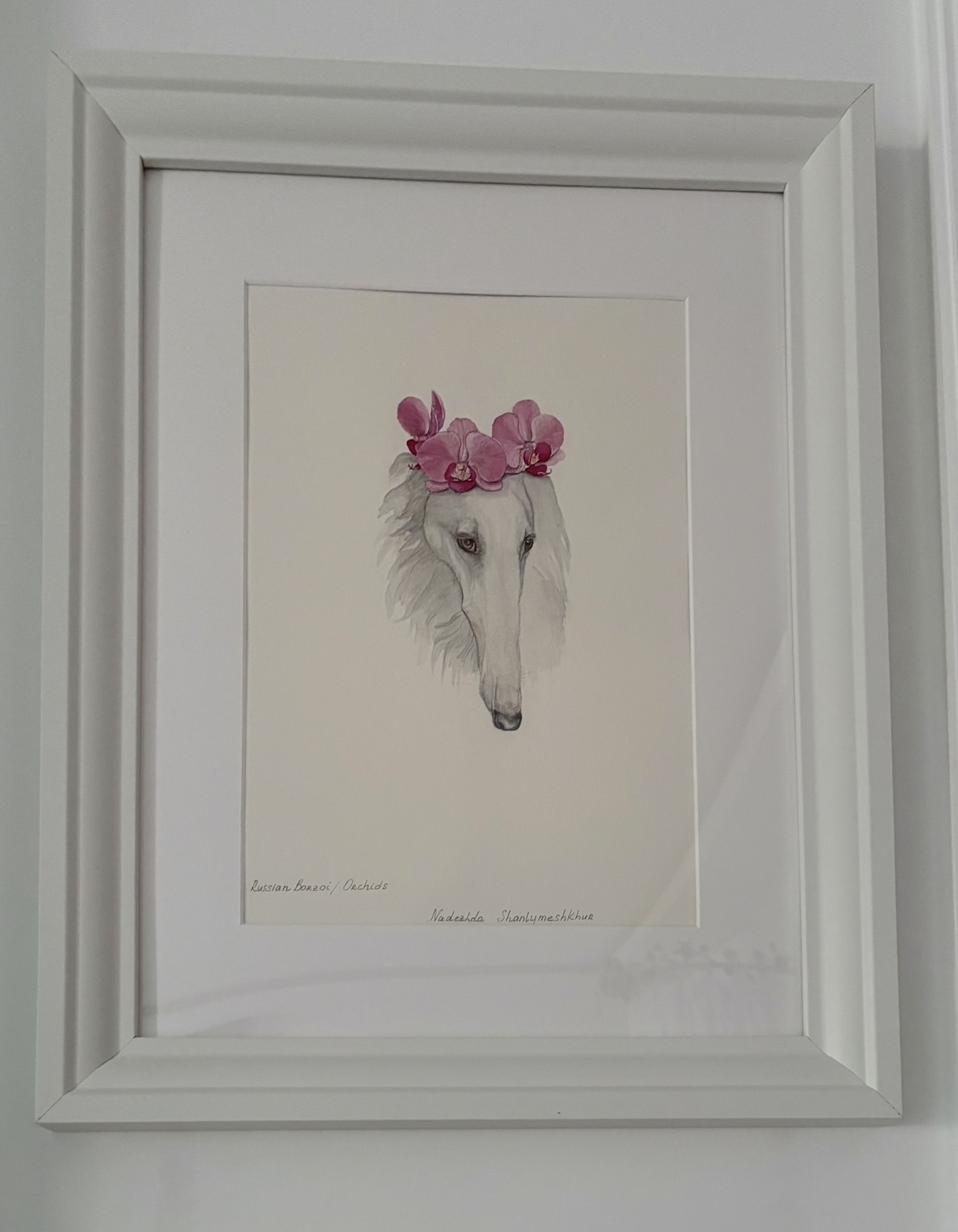 RUSSİAN BORZOİ/ORCHİDS