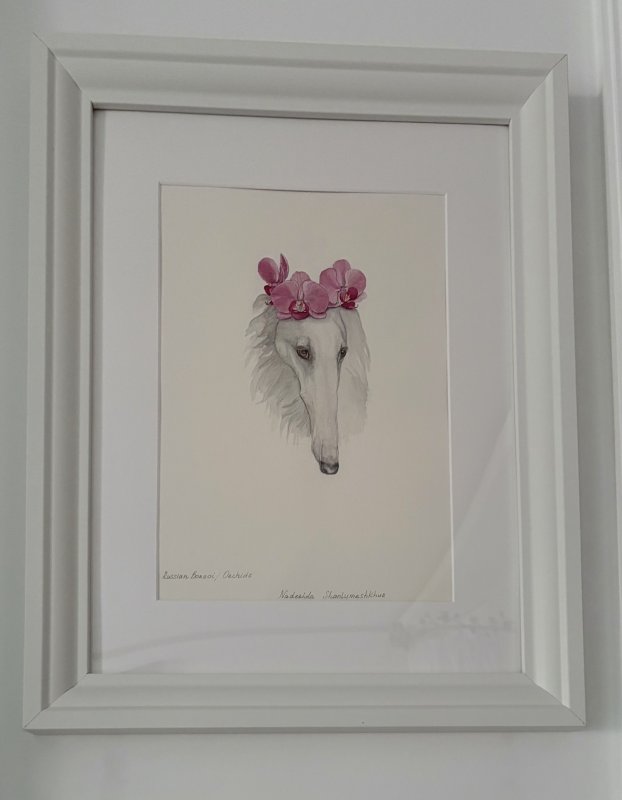 RUSSİAN BORZOİ/ORCHİDS