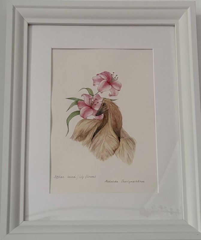 AFGHAN HOUND/LİLY FLOWERS