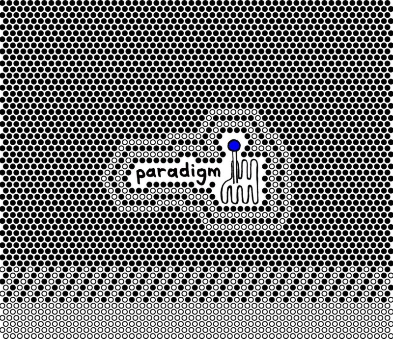 PARADIGM SHIFT GEAR